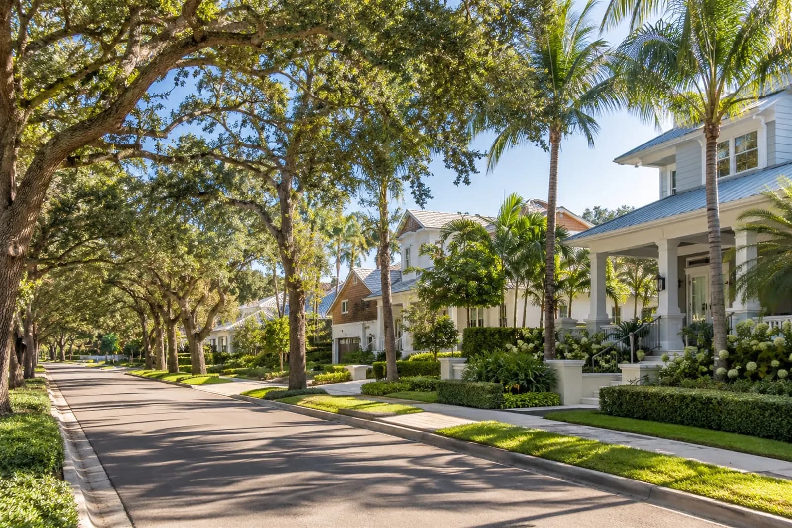 Tree-lined residential street with porches and palm trees